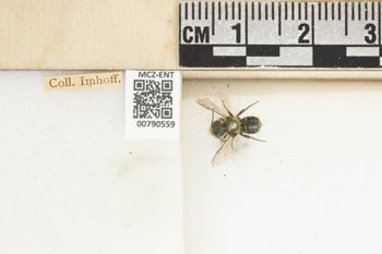 Media type: image;   Entomology 790559 Aspect: Labels
